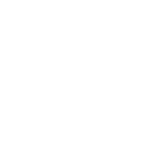 IP Video Security